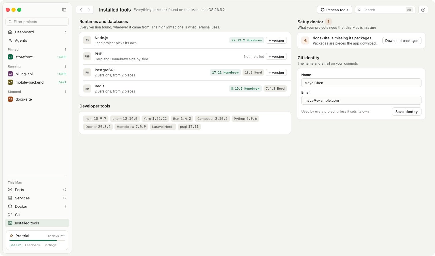 Installed tools listing every Node.js, PHP, PostgreSQL and Redis version found, with where each came from