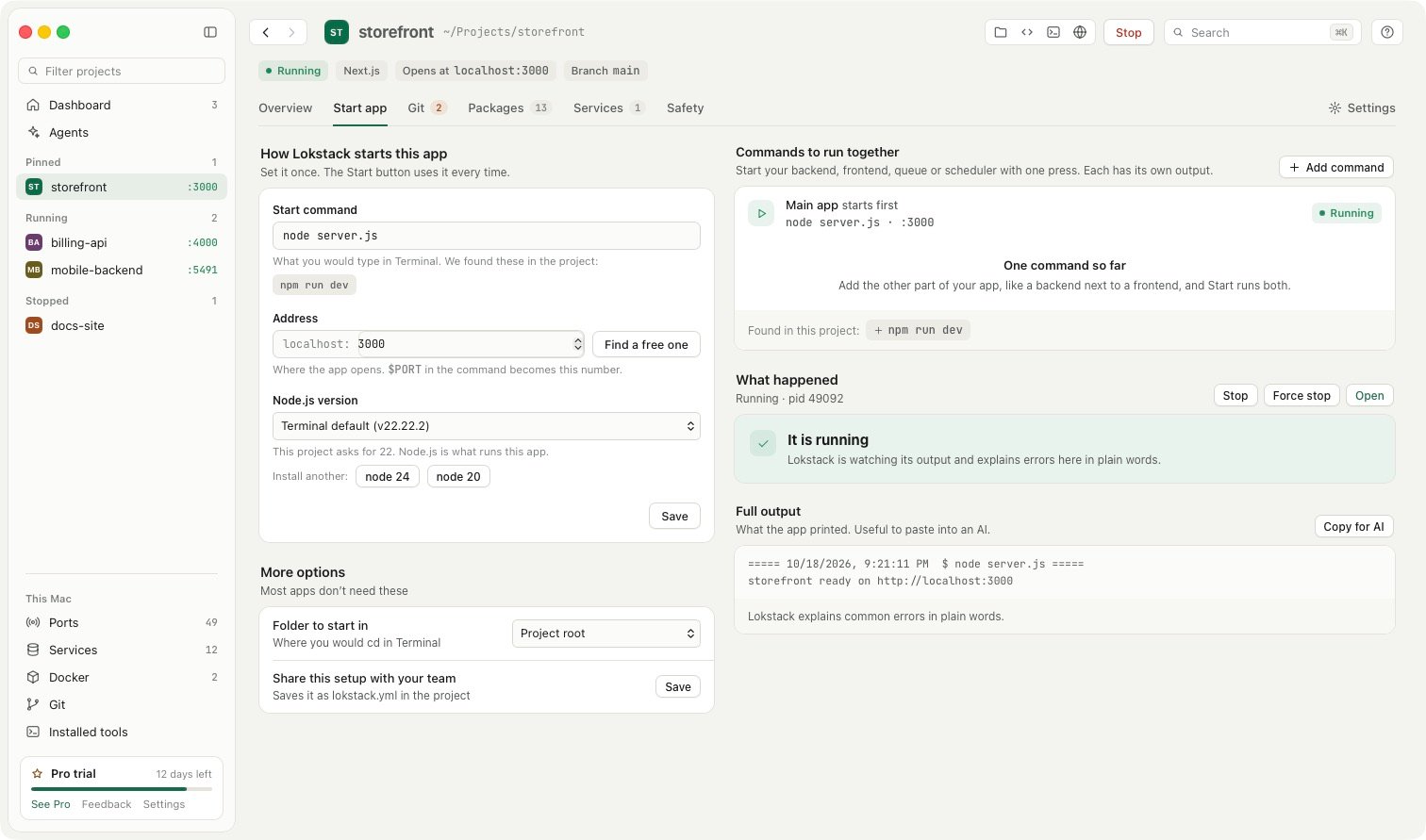 The Run and logs tab of a project