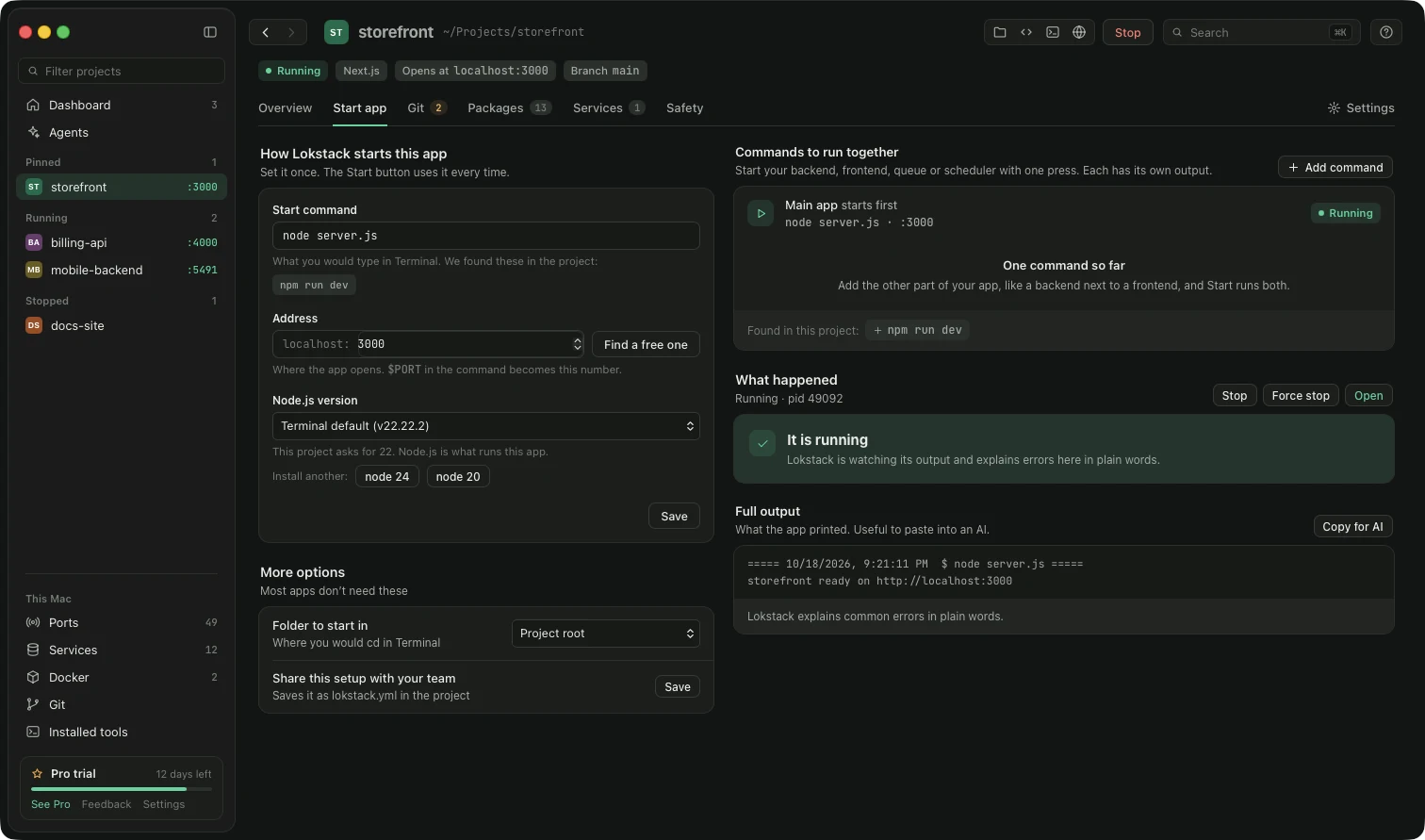 The Run and logs tab of a project